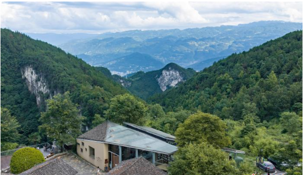 重庆仙女山“清凉经济”走俏：高山清风迎远客